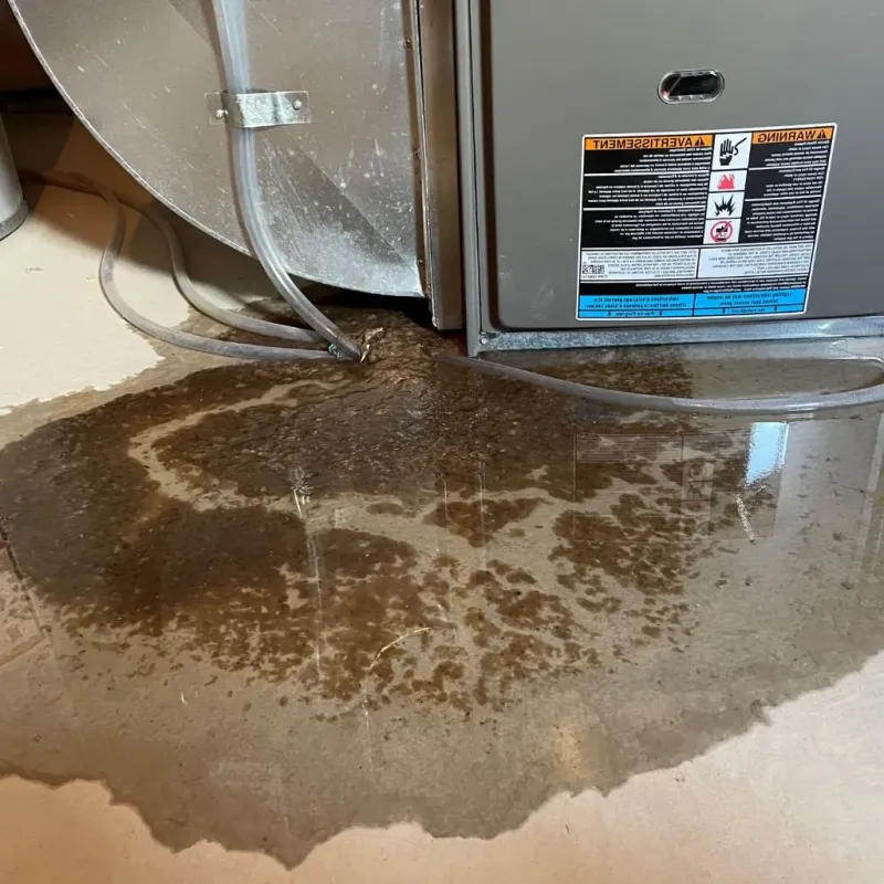 Pipe Burst and Leak Restoration in Rumford, ME